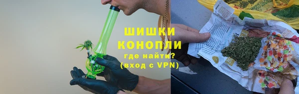 хмурый Липки