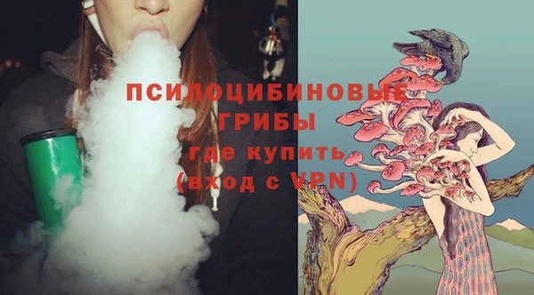 дживик Лихославль