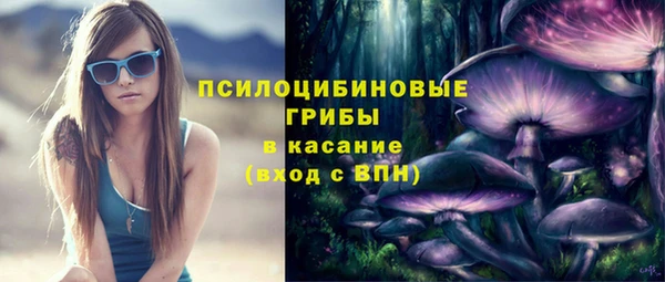 хмурый Липки