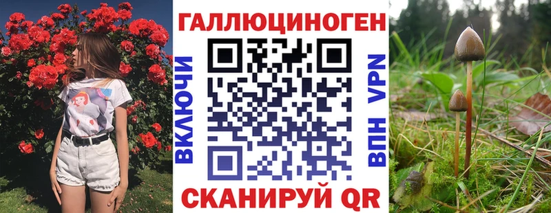 где купить наркоту  Батайск  Псилоцибиновые грибы мицелий 