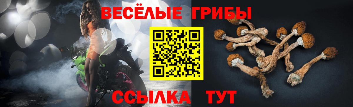 Псилоцибиновые грибы GOLDEN TEACHER Батайск
